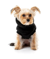 Turtle Teddy Sweater - Black -FINAL SALE NO RETURNS OR EXCHANGES